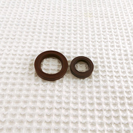 Crank seal kit NX4