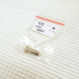 Banjo Bolt Long 10x1,0