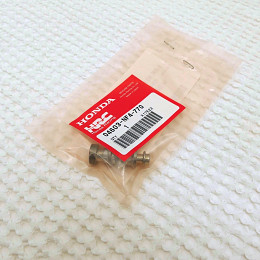 Rear Brake Mastercylinder Piston