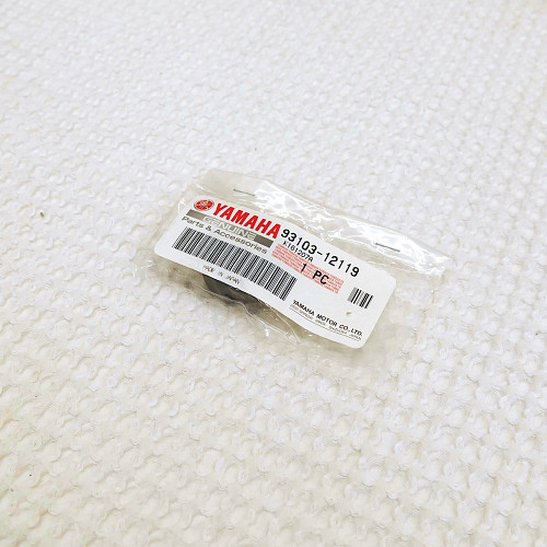 Water Pump Seal TZ125 94-00